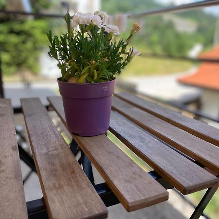 Apartament Stoykite Escape House Zewnętrze zdjęcie