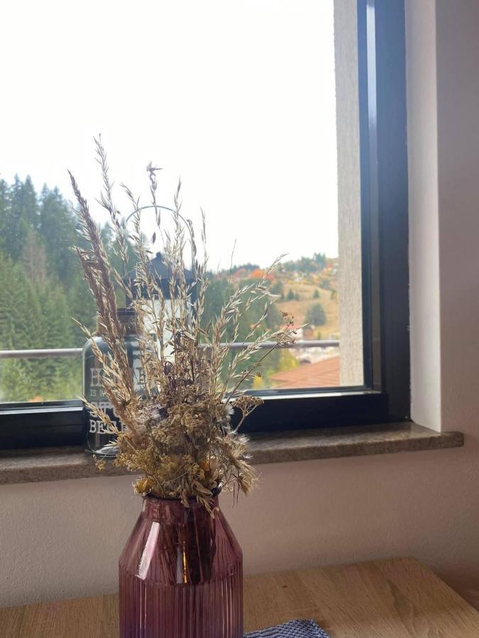 Apartament Stoykite Escape House Zewnętrze zdjęcie