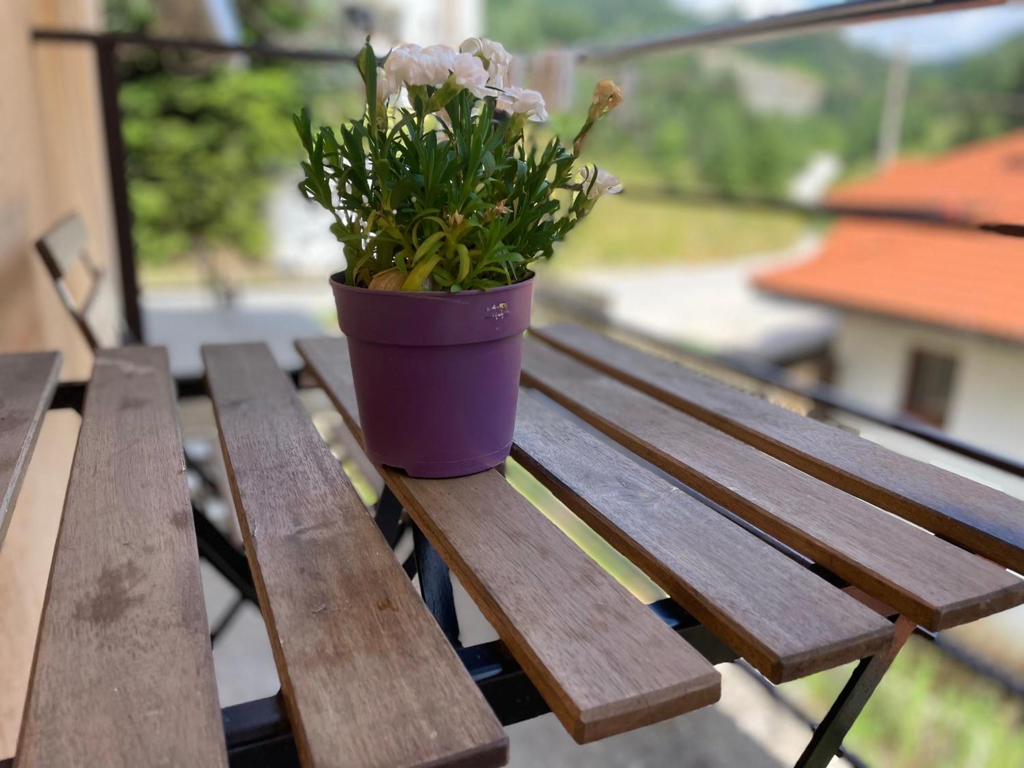 Apartament Stoykite Escape House Zewnętrze zdjęcie